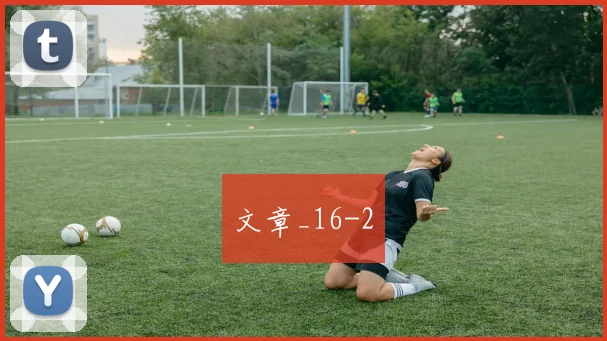 文章_16