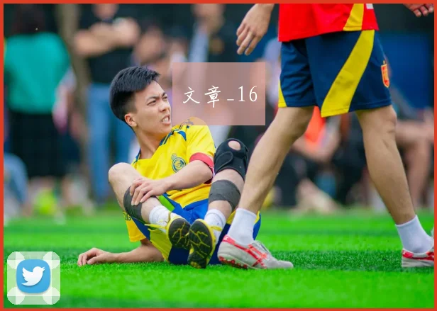 文章_16